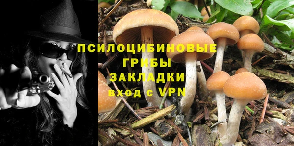 MESCALINE Вязники