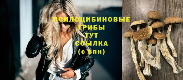 ALPHA-PVP Вяземский